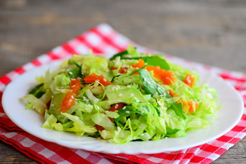 Easy vegetarian avocado coleslaw. Home coleslaw salad with fresh avocado slices, dried apricots, green arugula and sesame seeds on a plate. Healthy meal diet. Clean eating diet menu. Closeup