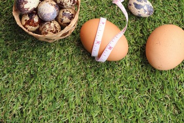 Quail eggs on artificial grass
