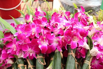 Purple orchid flowers at market