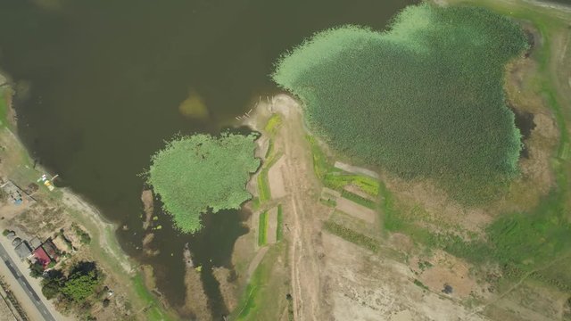 Aerial view of Paoay Lake with water lilies, Philippines. Paoay Lake National Park, Ilocos Norte.
