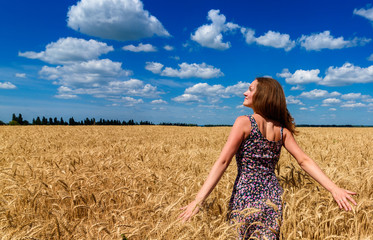 Beautiful happy young woman in golden wheat field with cloudy blue sky background, copy space. Girl in spikes of ripe wheat field under blue sky