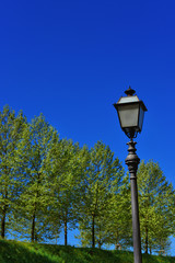 Old style street lamp with trees