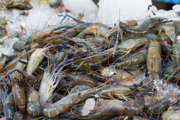 Fish and seafood at a market in Thailand