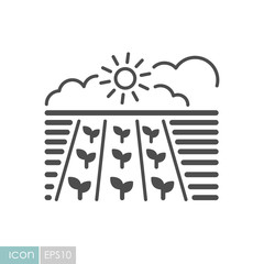 Spring field. Seedling. Green plants, organic farm