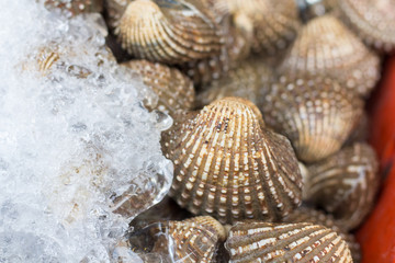 Fish and seafood at a market in Thailand