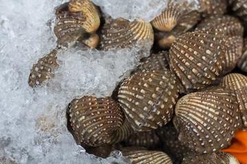 Fish and seafood at a market in Thailand