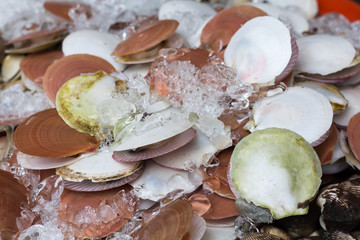 Fish and seafood at a market in Thailand
