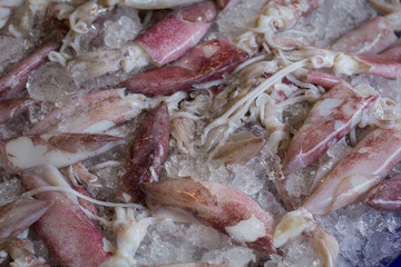 Fish and seafood at a market in Thailand