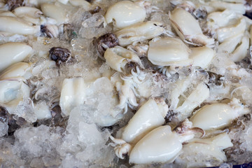 Fish and seafood at a market in Thailand