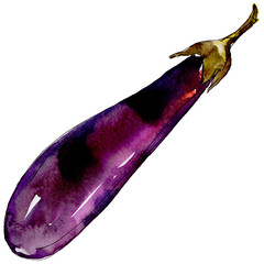 Eggplant healthy food in a watercolor style isolated. Full name of the vegetables: eggplant. Aquarelle wild vegetables for background, texture, wrapper pattern or menu.