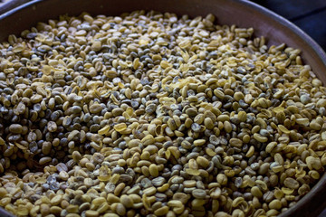 Coffee plantation in Bali . Coffee beans. Kopi Luwak