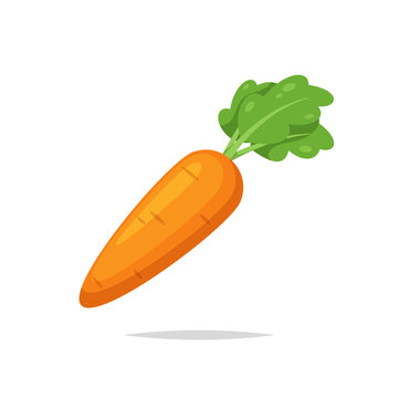 Carrot vector isolated
