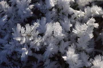 Givre H&eacute;riss&eacute;