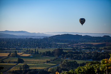 Hot Air Balloon above Vineyards