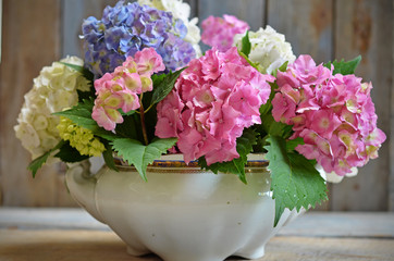 A bouquet of pink, white and blue hydrangeas in a vase