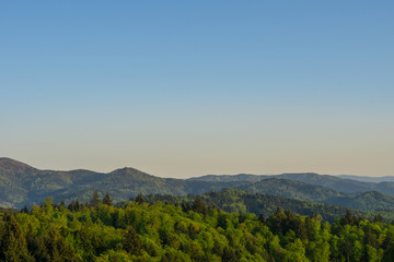 Germany, No limit to endless mountain nature landscape of black forest in springtime