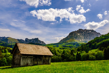 Fototapeta na wymiar View on way from Laudachsee to Gmunden, Austria