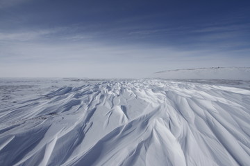 Beautiful patterns of sastrugi, parallel wavelike ridges caused by winds on surface of hard snow,...
