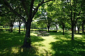 公園