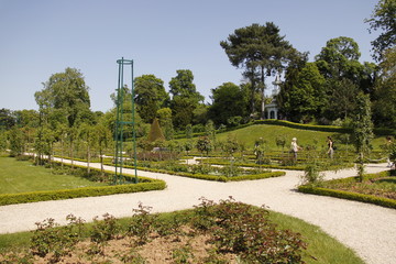 Roseraie du parc de Bagatelle à Paris