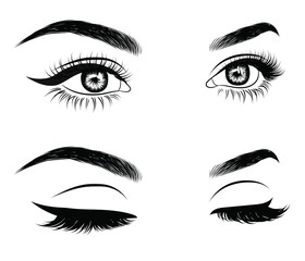 Illustration of woman's sexy luxurious eye with perfectly shaped eyebrows and full lashes. Hand-drawn Idea for business visit card, typography vector. Perfect salon look.