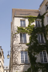 Immeuble végétalisé à Paris