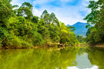 Tropical landscape of a jungle in Thailand