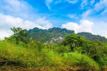 Fototapeta na wymiar Tropical landscape of a jungle in Thailand