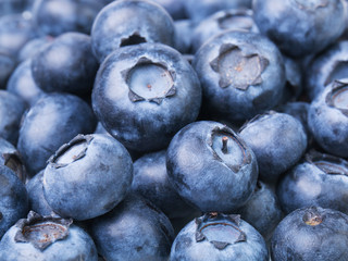 Blueberry background, fresh bilberry ripe picked berries close-up