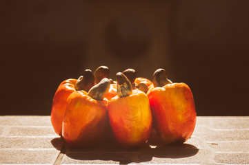 Cashew fruit set up in a bundle in the tropical sun