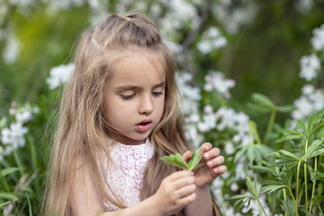 Beautiful girl in blooming apple tree garden enjoy warm spring day