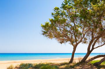 Fototapeta na wymiar Beautiful beach on Crete island, Greece