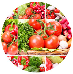 Fresh vegetables