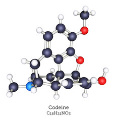 Ball-and-Stick Molecular Model of Codeine