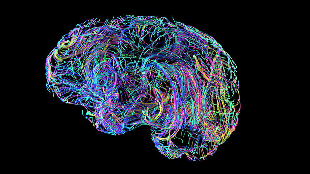 Brain Connections Colorful