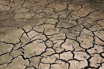 Cracks in dry earth