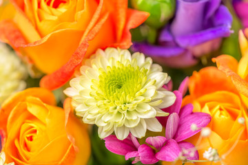 Obraz na płótnie Canvas beautiful festive flowers bouquet with chrysanthemum and orange roses, close up