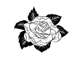 Tattoo sketch design with rose flower in vintage style. Vector illustration.