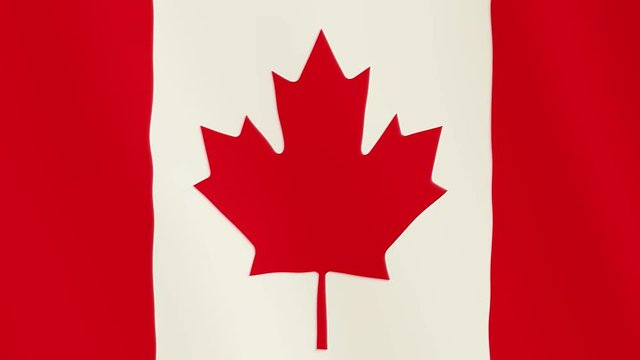 Canada flag waving animation. Full Screen. Symbol of the country.