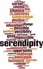 Obraz premium Serendipity word cloud