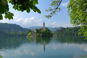 Pejzaż z jeziorem, wysepką z kościołem i gęstą roślinnością w miasteczku Bled, Słowenia,...