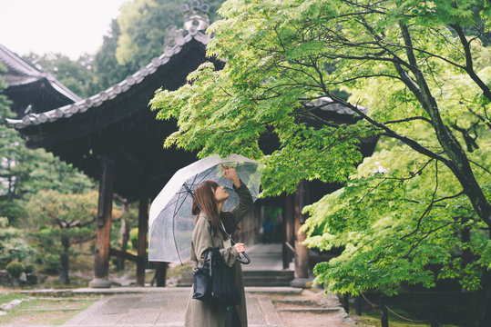 雨の新緑