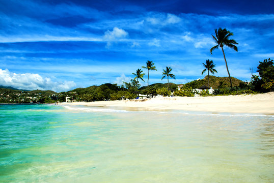 Shallow waters of Grenada