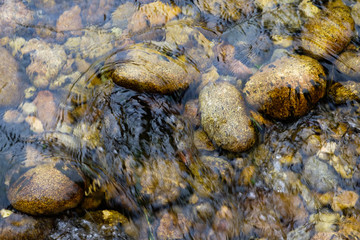 stones on the river bottom