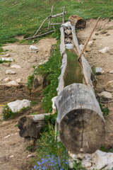 A Log Used as Water Feed for Animals