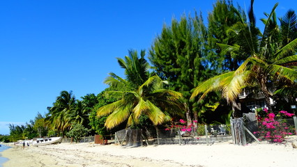 White-Beach - Mauritius