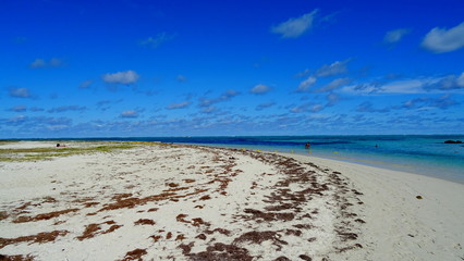 Traumstrand - Mauritius