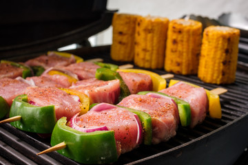 Barbecue Spiesse Grill