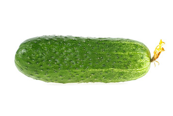 Cucumber isolated on white background