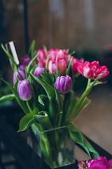 Beautiful pink and violet tulips in vase
